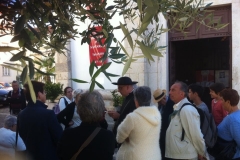 13612229_1777300355847535_973501096888186844_n