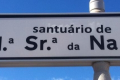 13620073_1777302222514015_7090728662465838733_n