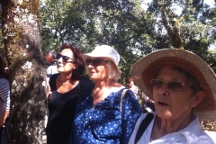 13592783_1776901719220732_1879269548927482041_n