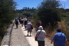 13606910_1776901395887431_2290291058713217582_n