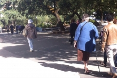 13615495_1776900862554151_731041442611648953_n