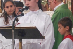 DSCN6502
