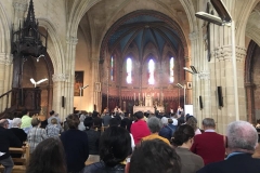 31123550_4017245278507671_5521537327840624640_n